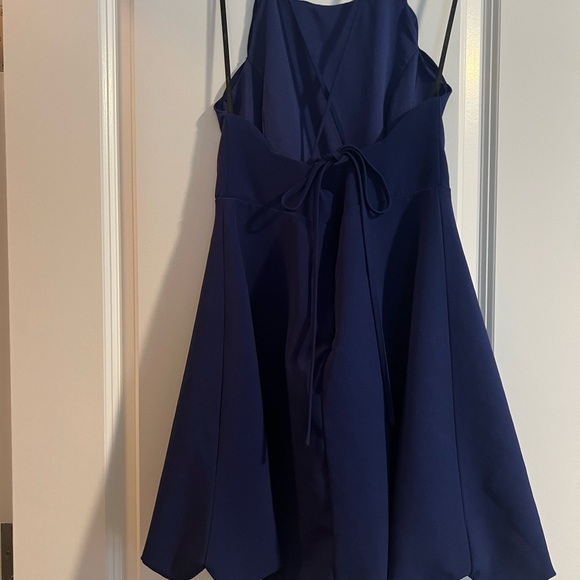 LuLu’s Play on Curves Royal Blue Dress - Picture 7 of 9